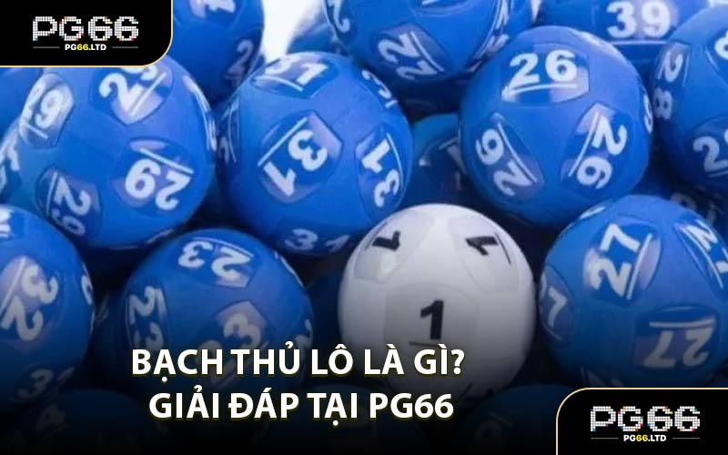 Bạch Thủ Lô Là Gì? Giải Đáp Tại PG66