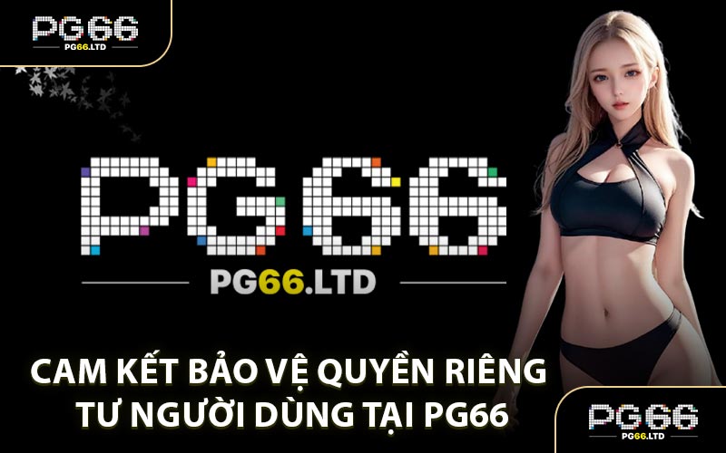 Cam Kết Bảo Vệ Quyền Riêng Tư Người Dùng Tại PG66
