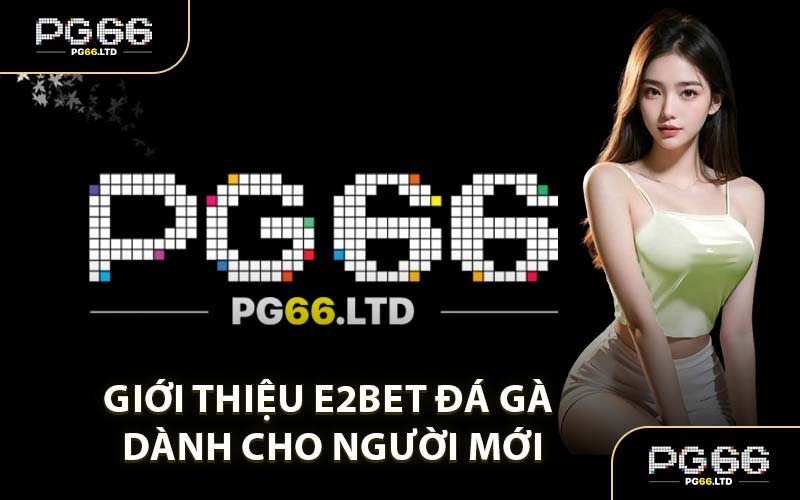 Giới Thiệu E2Bet Đá Gà Dành Cho Người Mới