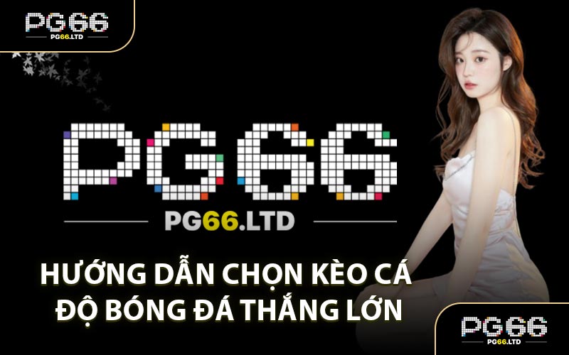 Hướng Dẫn Chọn Kèo Cá Độ Bóng Đá Thắng Lớn