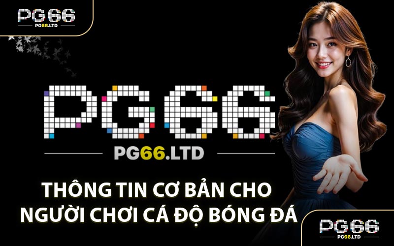 Thông Tin Cơ Bản Cho Người Chơi Cá Độ Bóng Đá