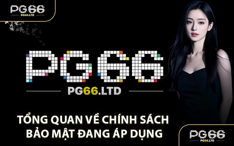 Tổng Quan Về Chính Sách Bảo Mật Đang Áp Dụng