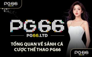 Tổng Quan Về Sảnh Cá Cược Thể Thao PG66