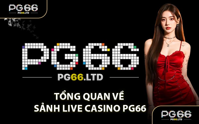 Tổng Quan Về Sảnh Live Casino PG66