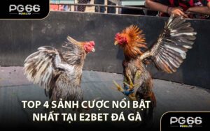 Top 4 Sảnh Cược Nổi Bật Nhất Tại E2Bet Đá Gà