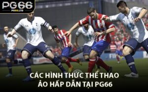 Các Hình Thức Thể Thao Ảo Hấp Dẫn Tại PG66