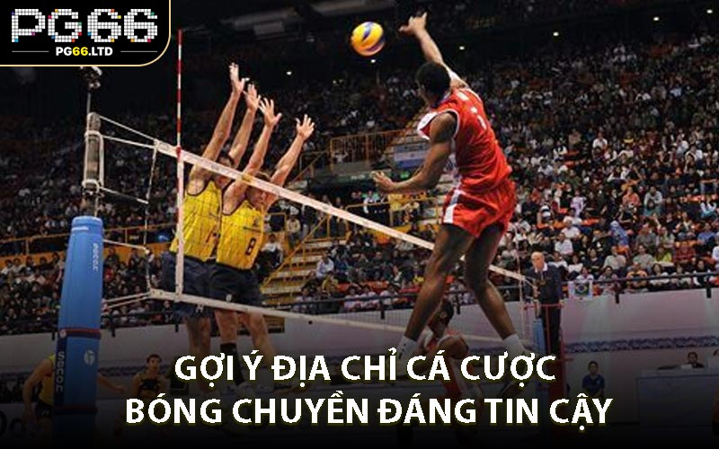Gợi ý địa chỉ cá cược bóng chuyền đáng tin cậy