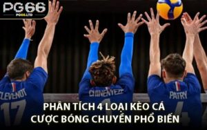 Phân tích 4 loại kèo cá cược bóng chuyền phổ biến