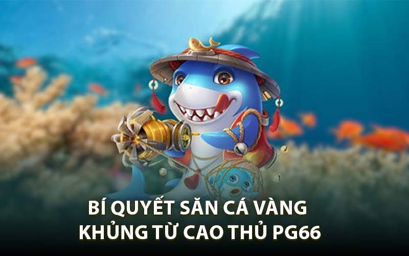 Bí Quyết Săn Cá Vàng Khủng Từ Cao Thủ PG66